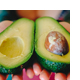 Článek avokádo – zelené zlato z Mexika ve vaší kuchyni